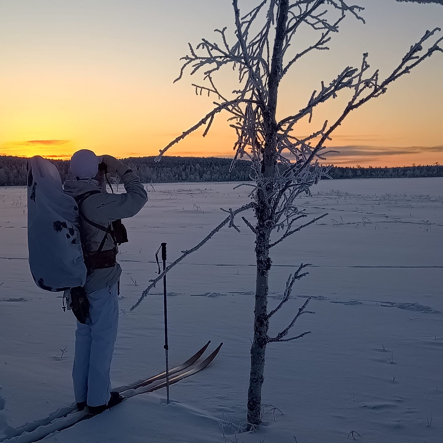 Följ med på toppfågeljakt i karga vinterlandskap i norra Sverige.