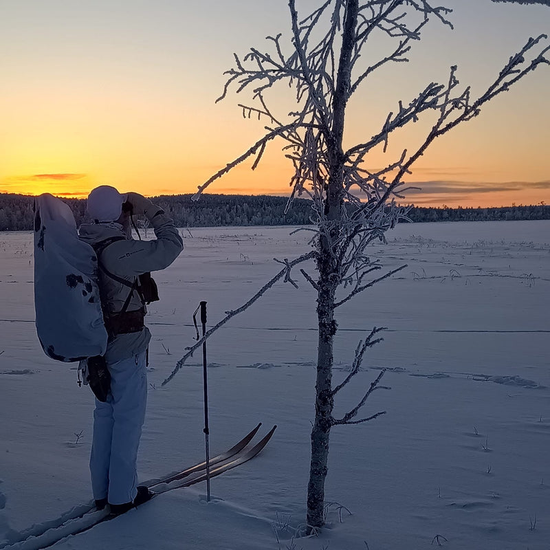 Följ med på toppfågeljakt i karga vinterlandskap i norra Sverige.