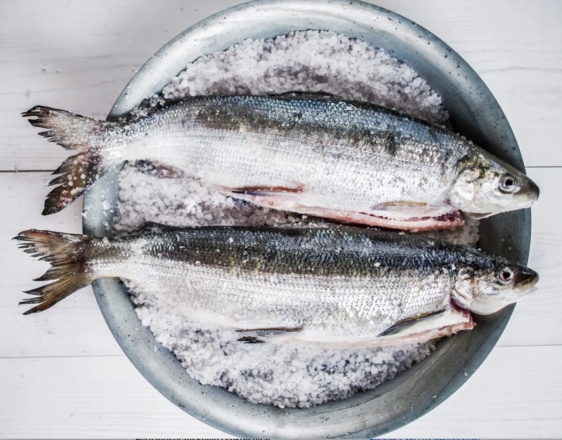 Våra sikprodukter - från norrbottniska vatten