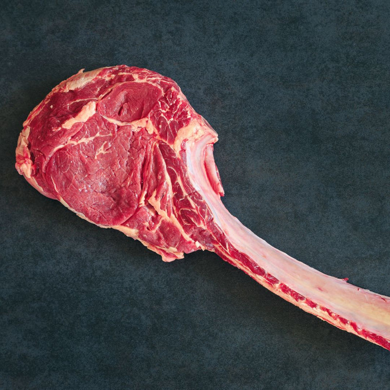 Tomahawk - klass 1 - 3 kg