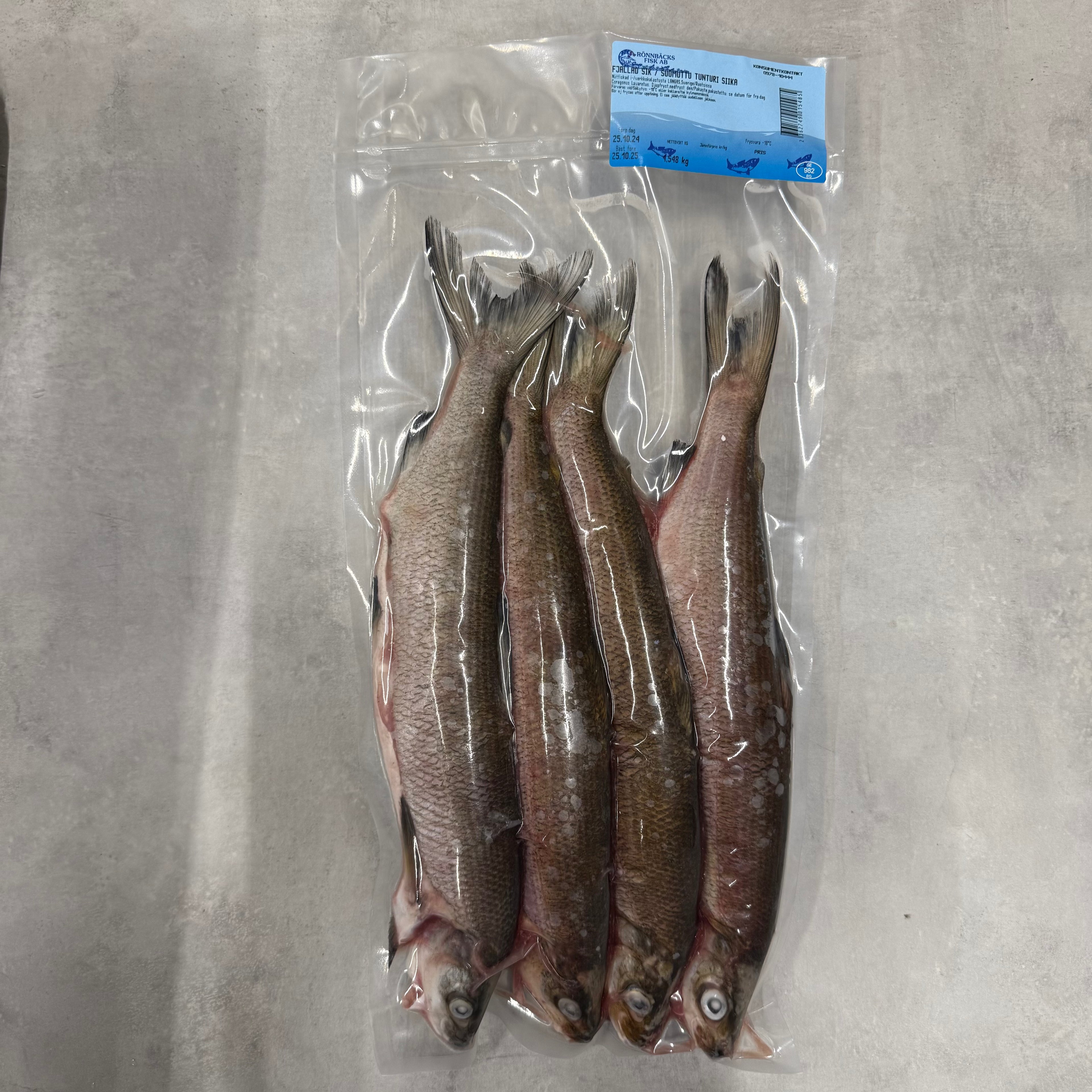 Sik – nätfiskad i Langas 1,5 kg